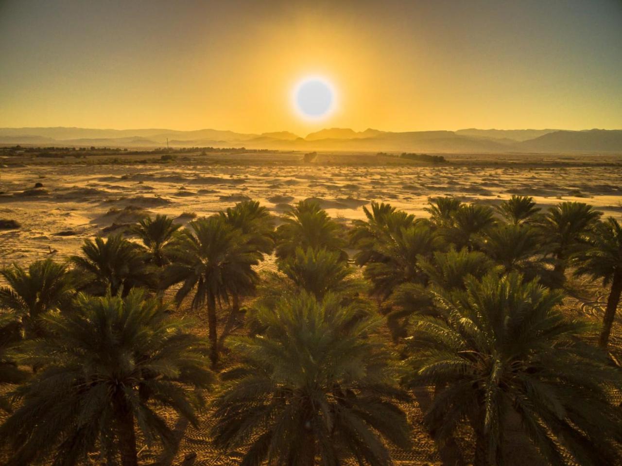 Lotan Desert Travel Hotel Nahal Ya'alon Ngoại thất bức ảnh