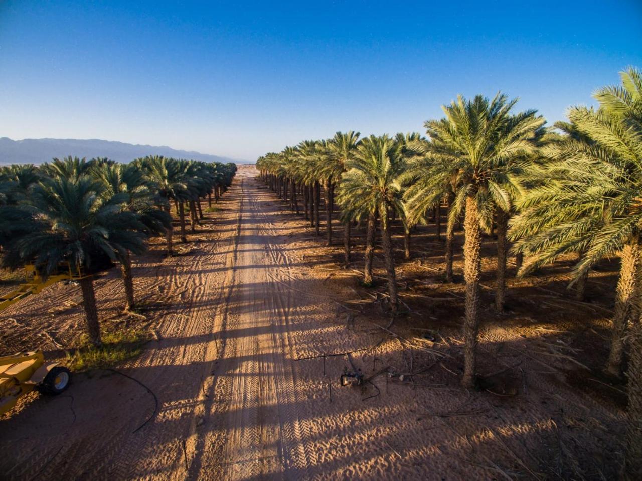 Lotan Desert Travel Hotel Nahal Ya'alon Ngoại thất bức ảnh